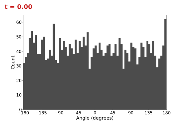 SO(2) to C4 angle histogram over flow time